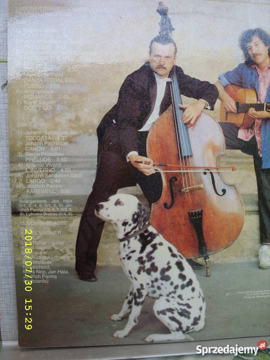 Pop LP LUBOMIR BRABEC Wołów