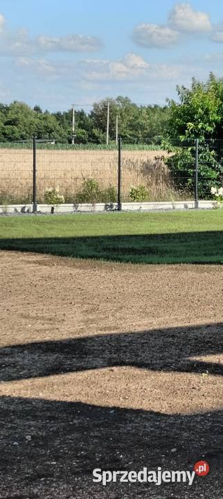 Regeneracja trawników systemy nawadniające mazowieckie