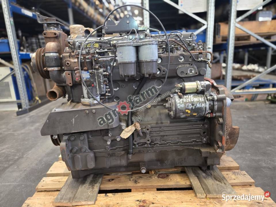 Silnik Massey Ferguson 3080 Perkins A6354 Byków sprzedam