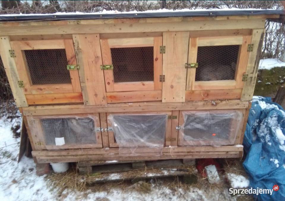 Króliki królik samiec samica klatka transporter