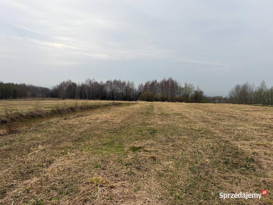 Na sprzedaż działka rolna 31 ar Malawa podkarpackie