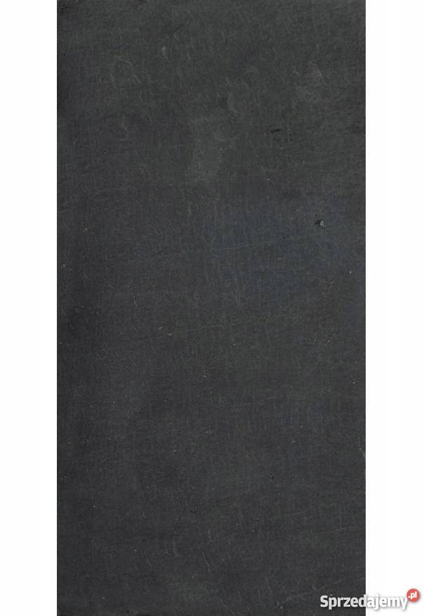 Płytki Elewacyjne Łupek Czarny Black Slate 60x30