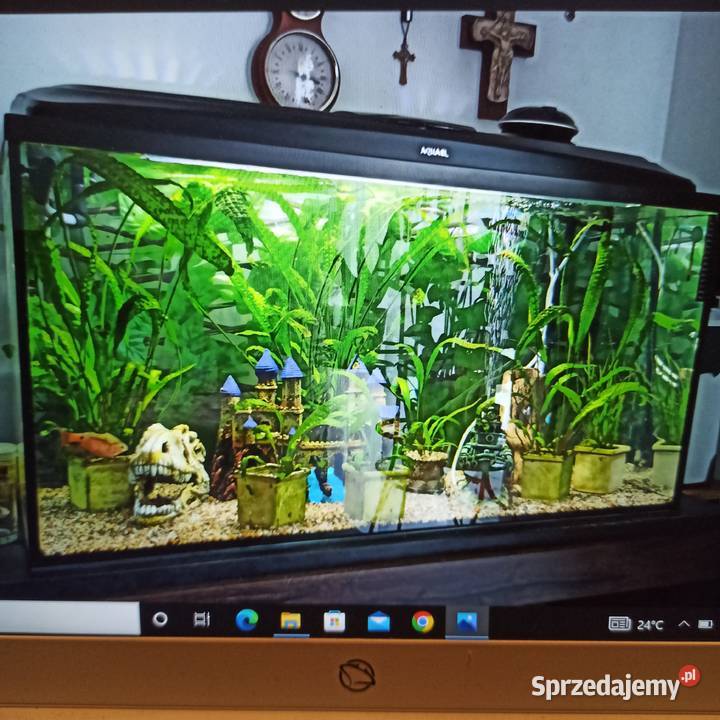 Akwarium Aquael 200l z pokrywą i oświetleniem Bukowno