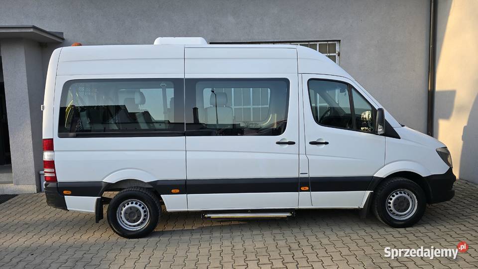 MercedesBenz Sprinter 906213 BlueEFFICIENCY Mercedes-Benz