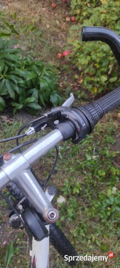 Rower delta 605 koła 26 Ostrowiec Świętokrzyski