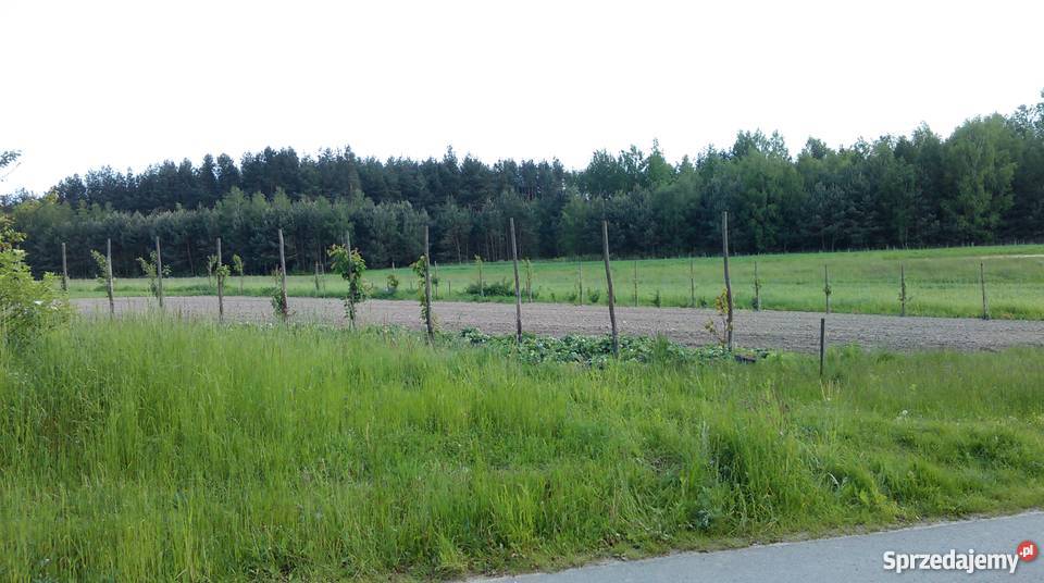 DO SPRZEDANIA GOSPODARSTWO ROLNE 403ha Pliskowola