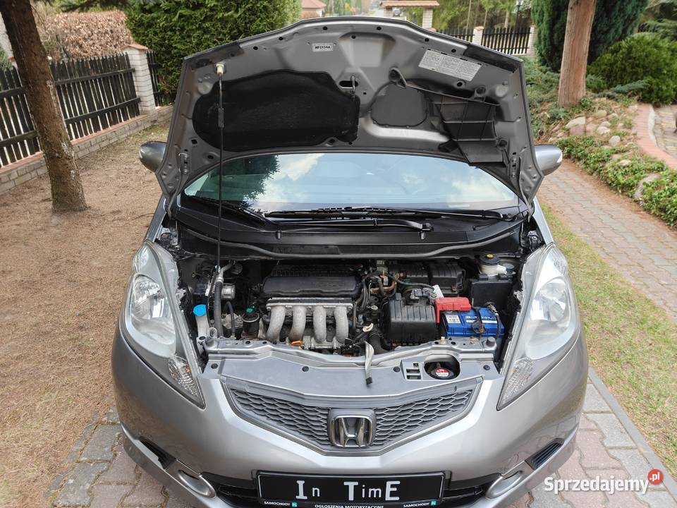 Honda Jezz sport