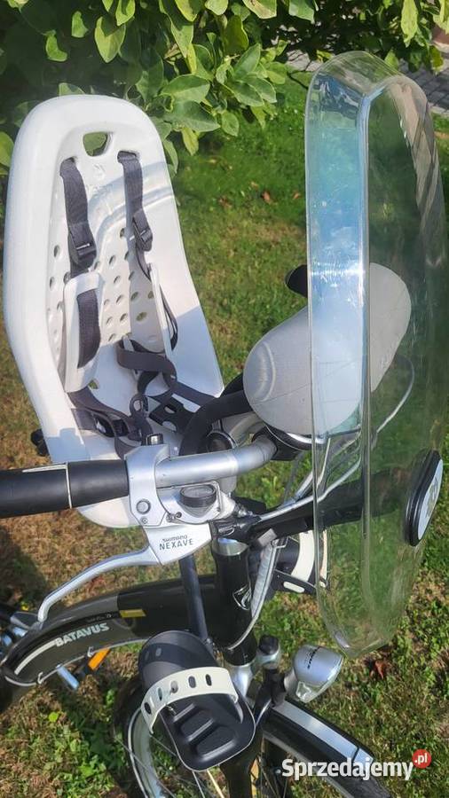 Thule Yepp mini przedni fotelik rowerowy dziecko