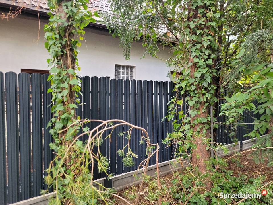 Sztacheta ogrodzeniowa FORTE SICURO SPAZIO UNICO Miechów