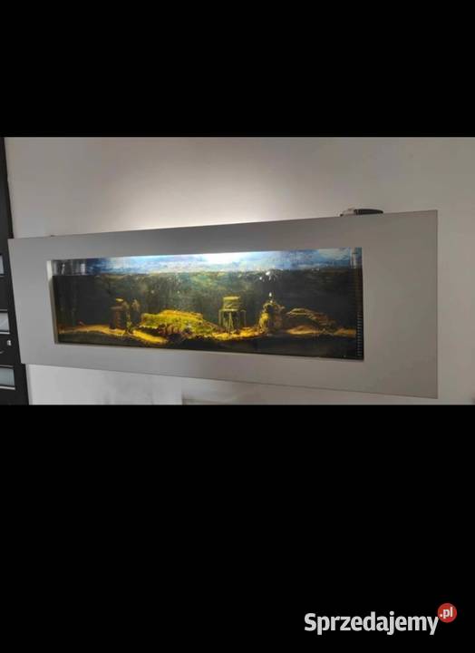 Akwarium naścienne 60l Hrubieszów