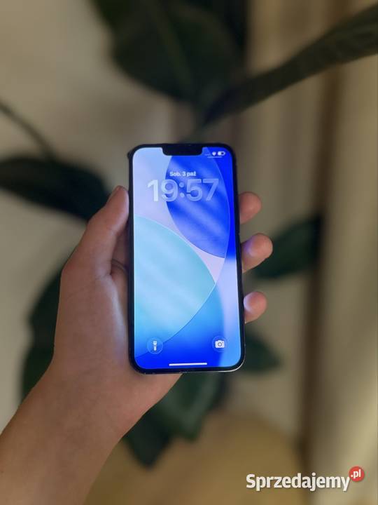 iPhone 13 Pro 128GB 80 Sierra Blue Stan łódzkie Bełchatów
