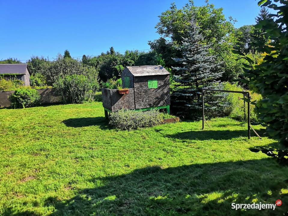 Działka ROD Wójtowa Rola warmińsko-mazurskie Olsztyn