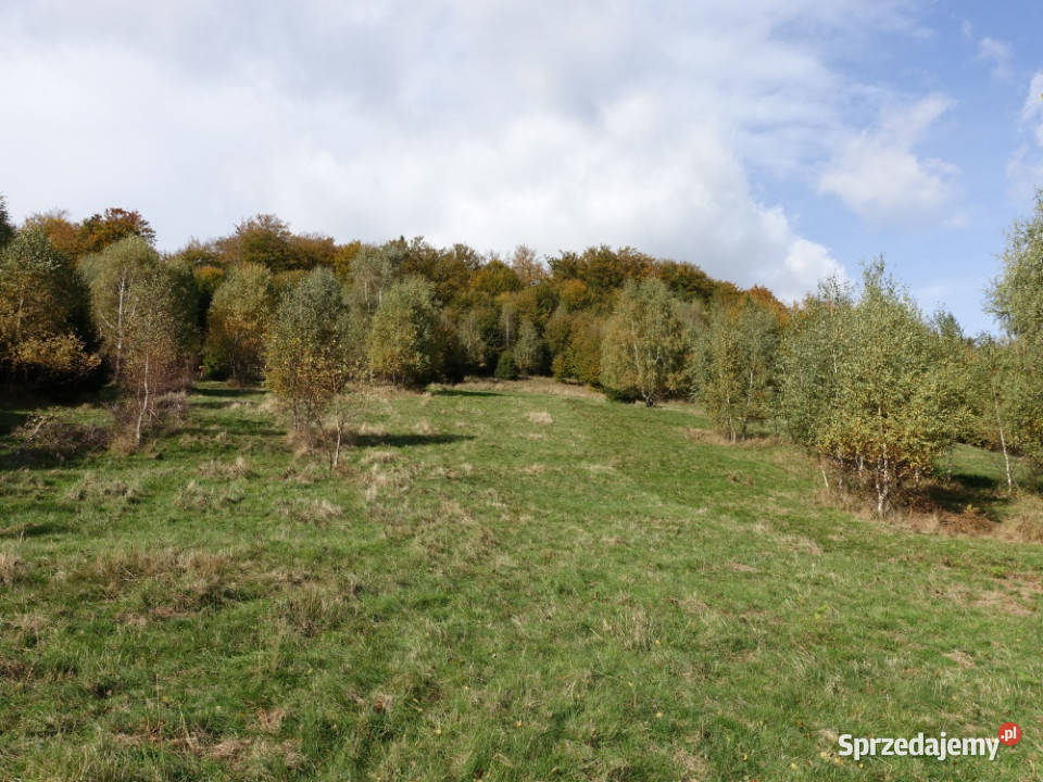 Brenna 253 ha działka inwestycyjna wyciągu 25300m2 Wisła