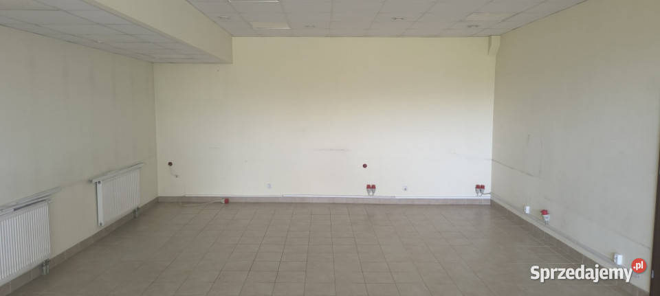 Do wynajęcia lokale biurowe usługowe hale 18m2 Wynajem Pabianice