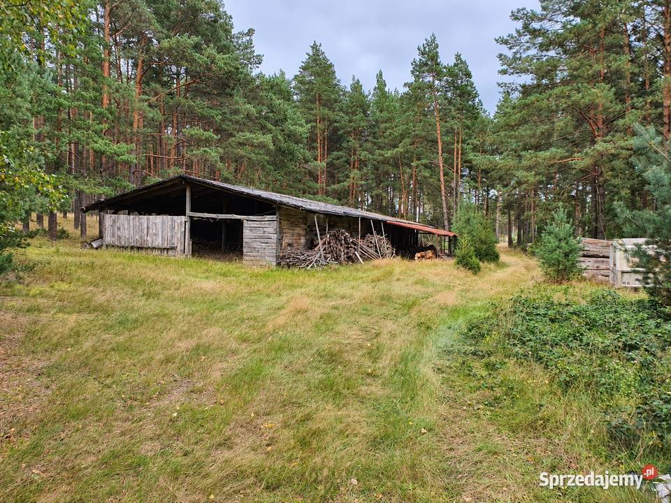 WŁASNY LAS I DOM 260 M 62 HA PRYWATNEJ Tuszkowy