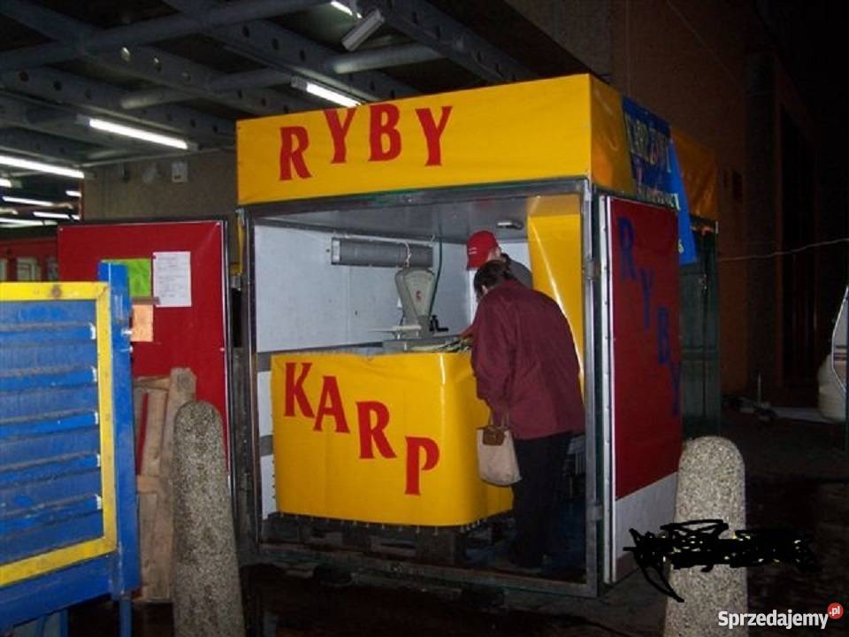 karp amur Pozostałe Piekary Śląskie