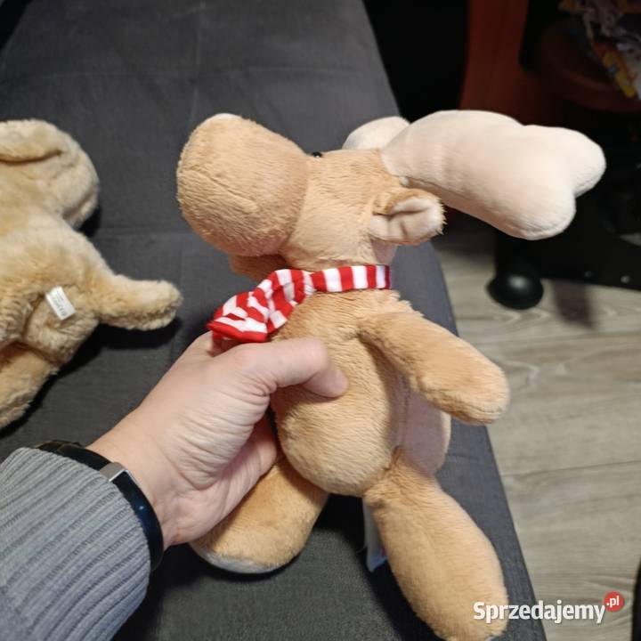 renifer Kinder kolejny Poznań