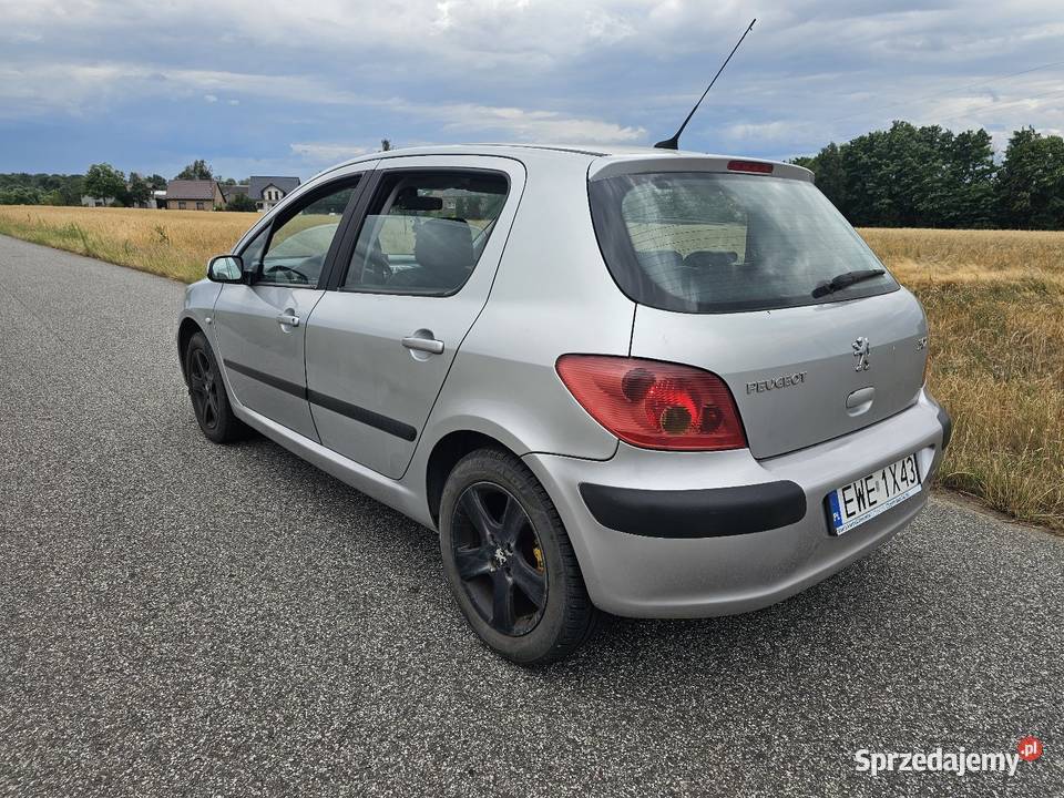 Peugeot 307 16 benzyna Chotynin