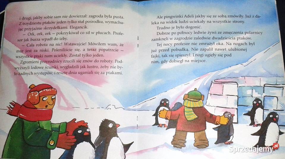 Zaczarowana zagroda Moje Poczytajki Alina i Rok wydania 2007 sprzedam