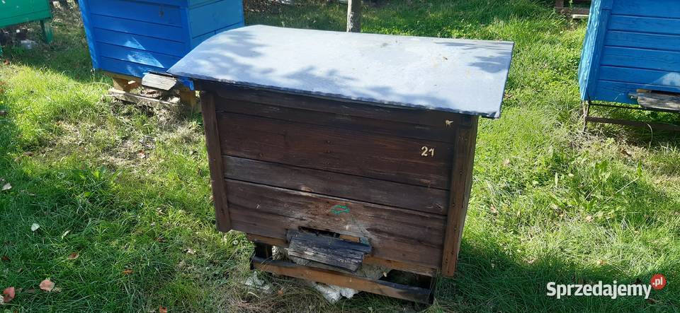 Ule rodziny pszczele Biłgoraj