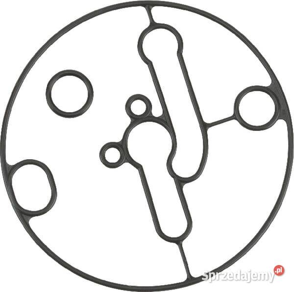 Uszczelka obudowy pływaka 698781 Kamionna