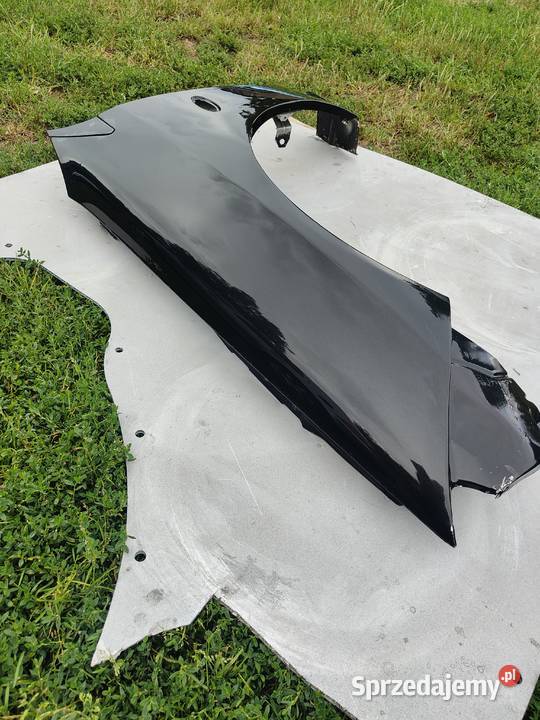 Błotnik coguar Woźniki-Kolonia