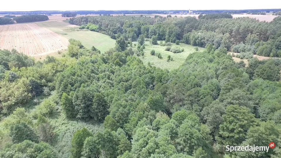 Ziemia agroturystyka stawy rezydencja działki Sieraków