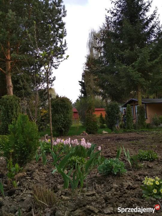 Działka pracownicza ogródek działkowy sprzedam