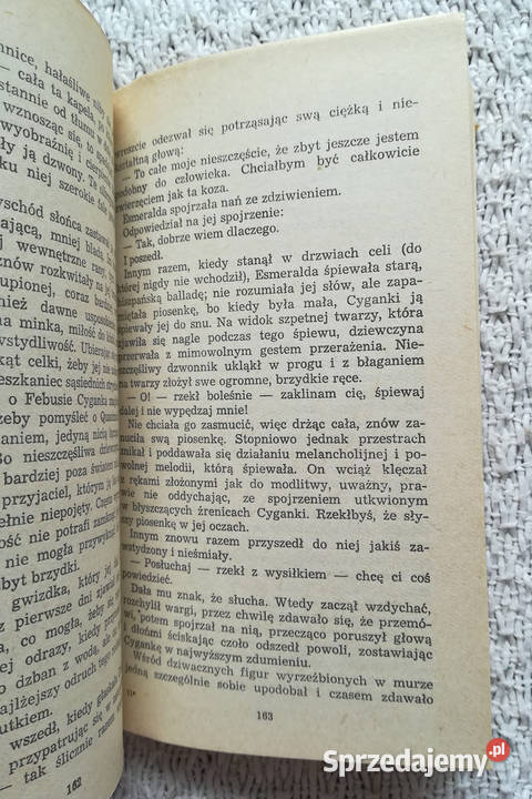 Katedra Marii Panny w Paryżu Wiktor Hugo Białystok