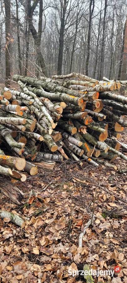 Drewno bukowe dębowe jesion brzoza Katowice