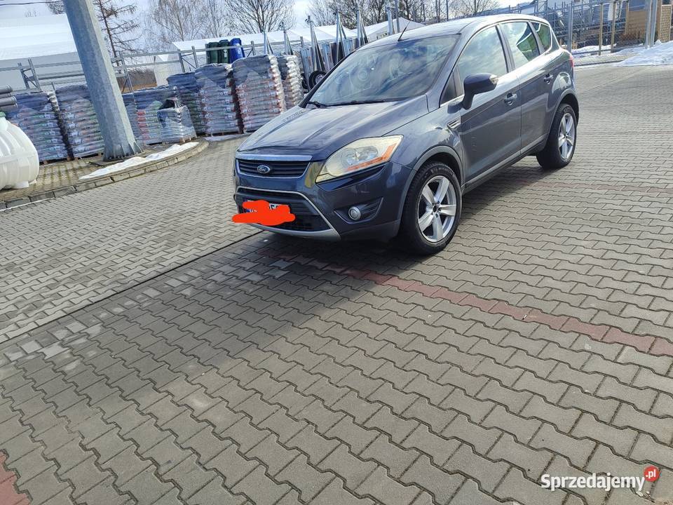 Ford Kuga Brnik
