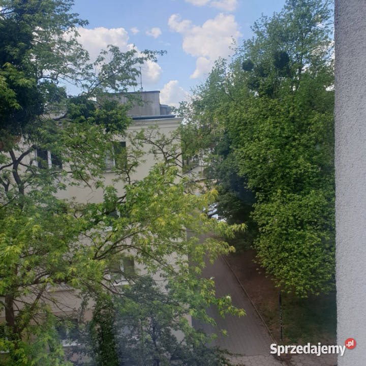 Wynajmę kawelerkę w blokuw centrum obok parku Łódź sprzedam