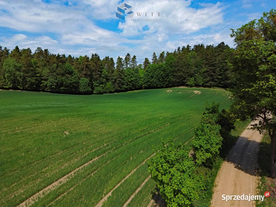 Grunt do sprzedania Rudno 53200m2