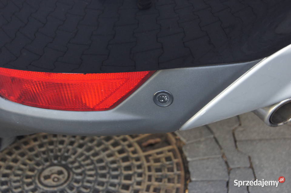 Ładny bez rdzy uszanowany TITANIUM Warszawa