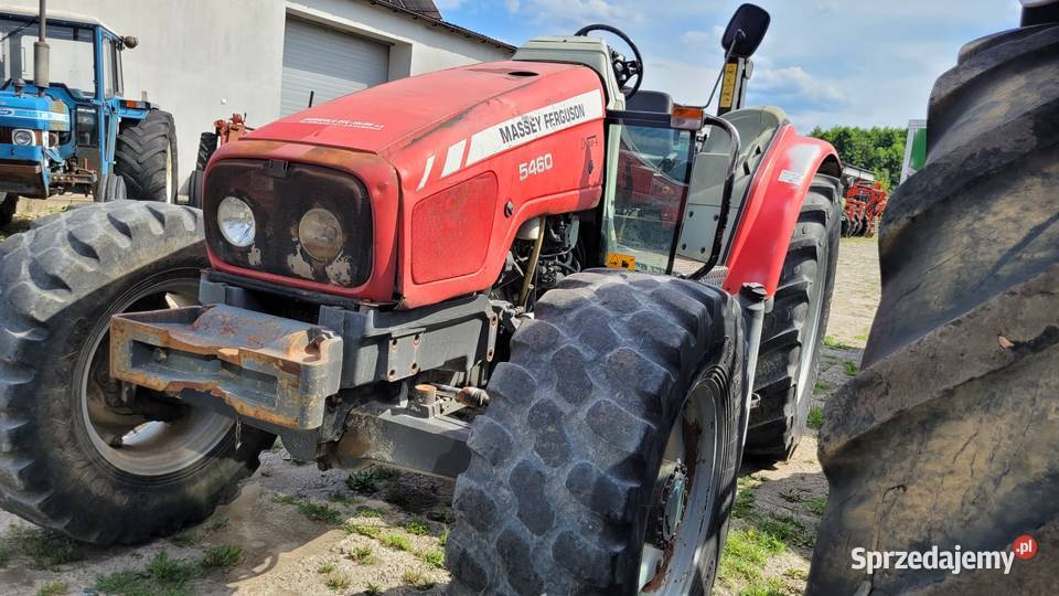 Massey Ferguson 5460 115 tunelowy sadownik Zaklików