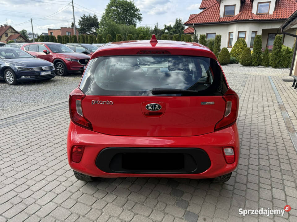 Kia Picanto 10 67 Klimatyzacja Kamera CarPlay bordowy Orzech