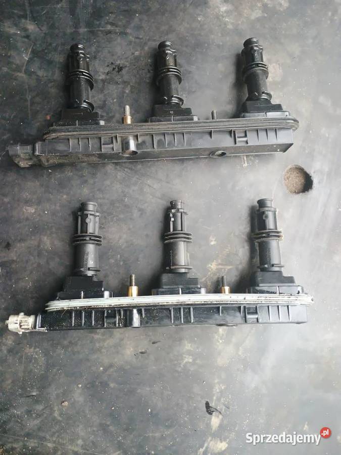 Cewka zapłonowa Opel Vectra C Signum Omega 32 osobowe lubelskie Wola Siennicka