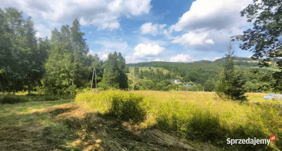 2400m Swierki Kłodzkie Budowlana NOWA 2400m2 dolnośląskie Kłodzko