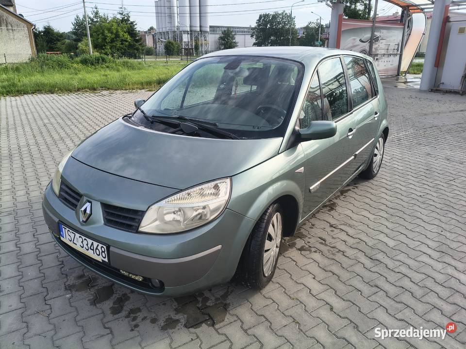 Auto nieuszkodzony Scenic Renault Rytwiany