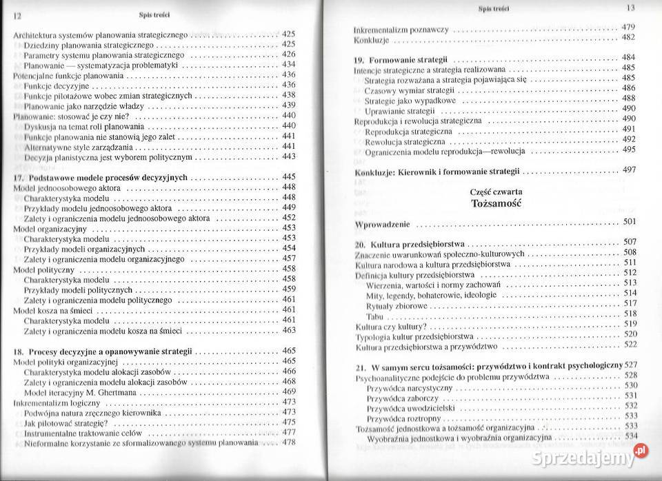 Zarządzanie firmą Strategie struktury decyzje Załom