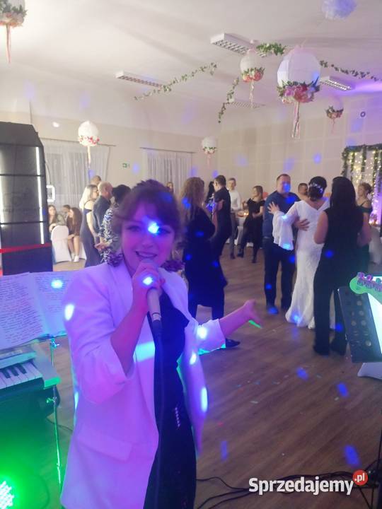 Zespół muzyczny dj Wałbrzych