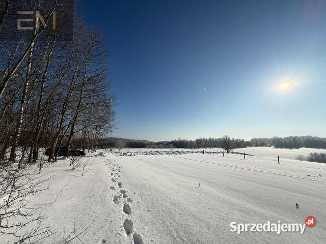 Grunt 4700m2 Gwoźnica Górna