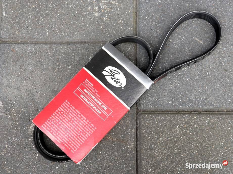 BMW pasek klinowy wielorowkowy Gates 6PK1163 wielkopolskie Poznań