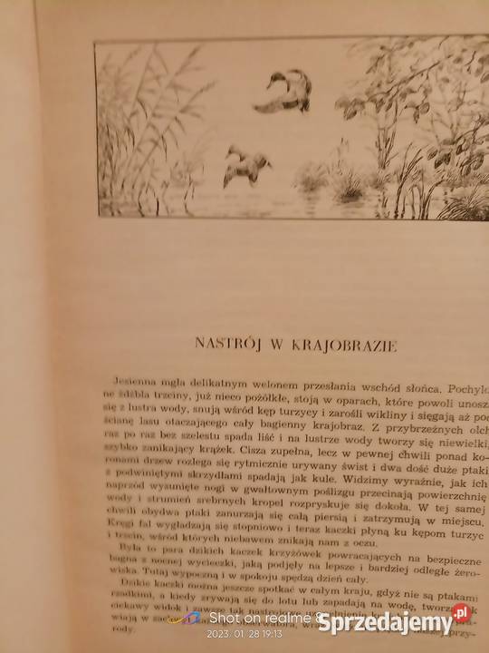 Kaczka krzyżówka Sokołowski książki Warszawa mazowieckie