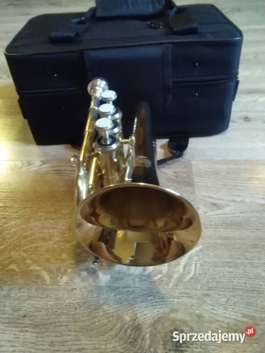 Trąbka kieszonkowa małopolskie Kraków