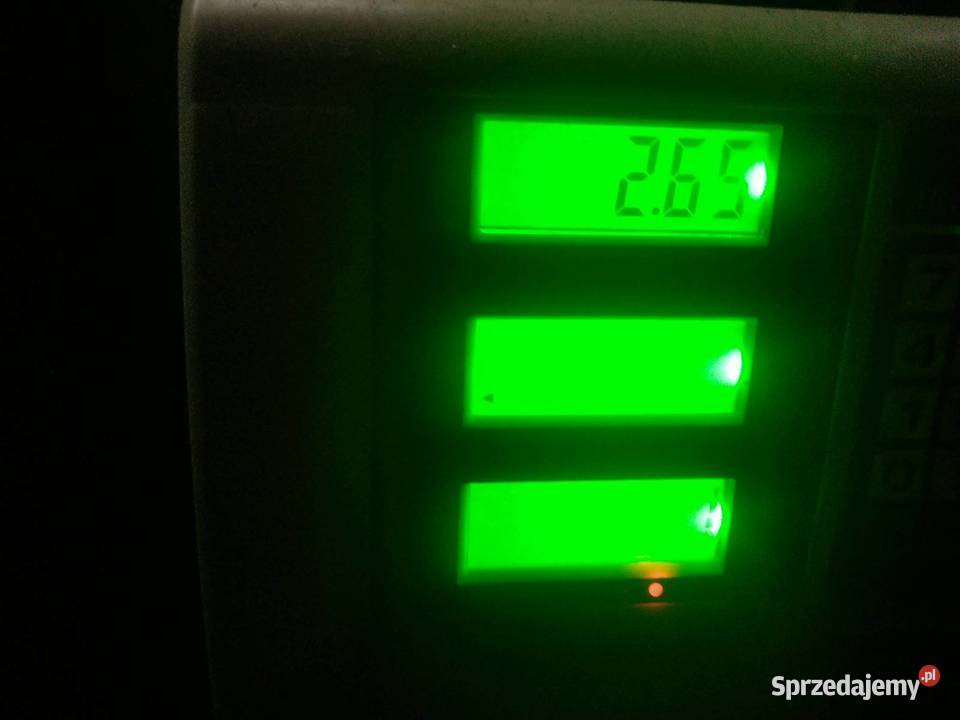 Czaga błyskoporek brzozowy suszony Skierniewice