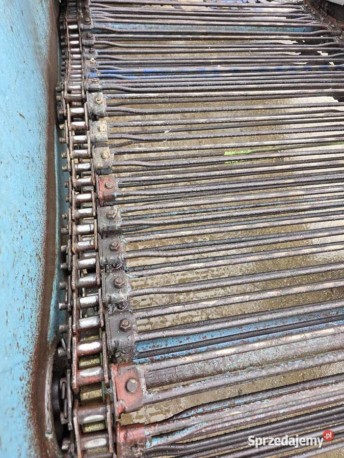 Kopaczka elewatorowa dwurzedowa do ziemniakow świętokrzyskie Samborzec