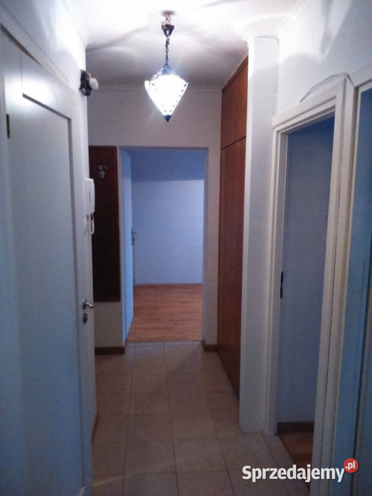 Wynajmę 3y pokojowe mieszkanie w centrum 3 piętra i więcej Wynajem Pruszków