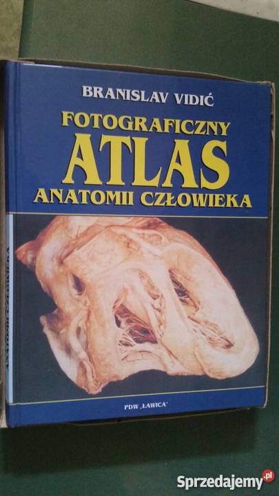 Atlas anatomii człowieka BRANISLAV VIDIĆ