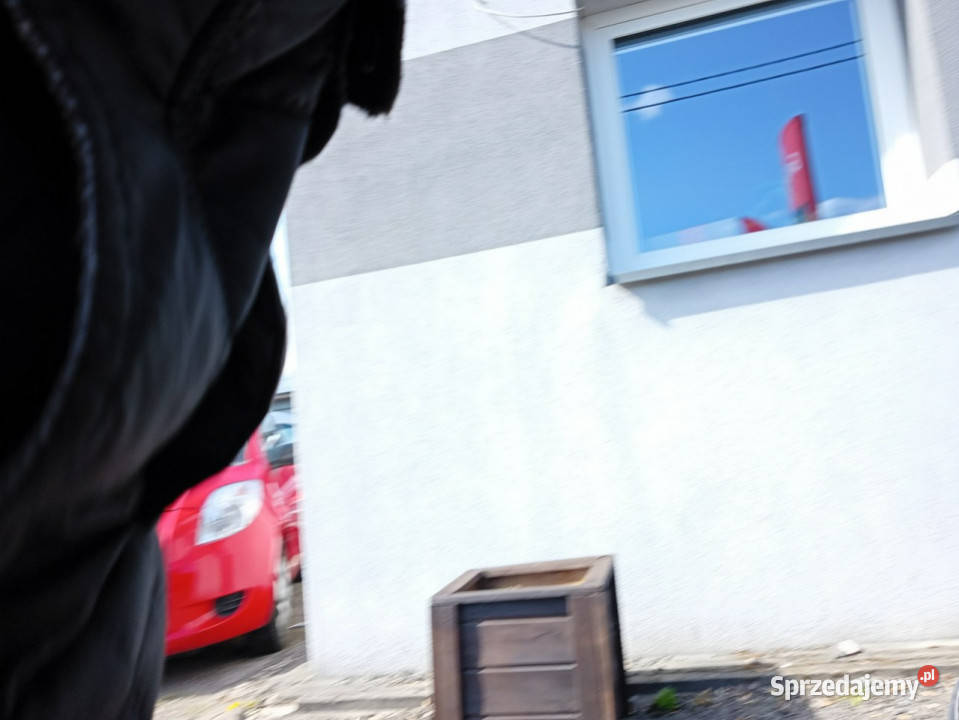 Opel Insignia Sports Tourer A 20082017 isofix lubelskie